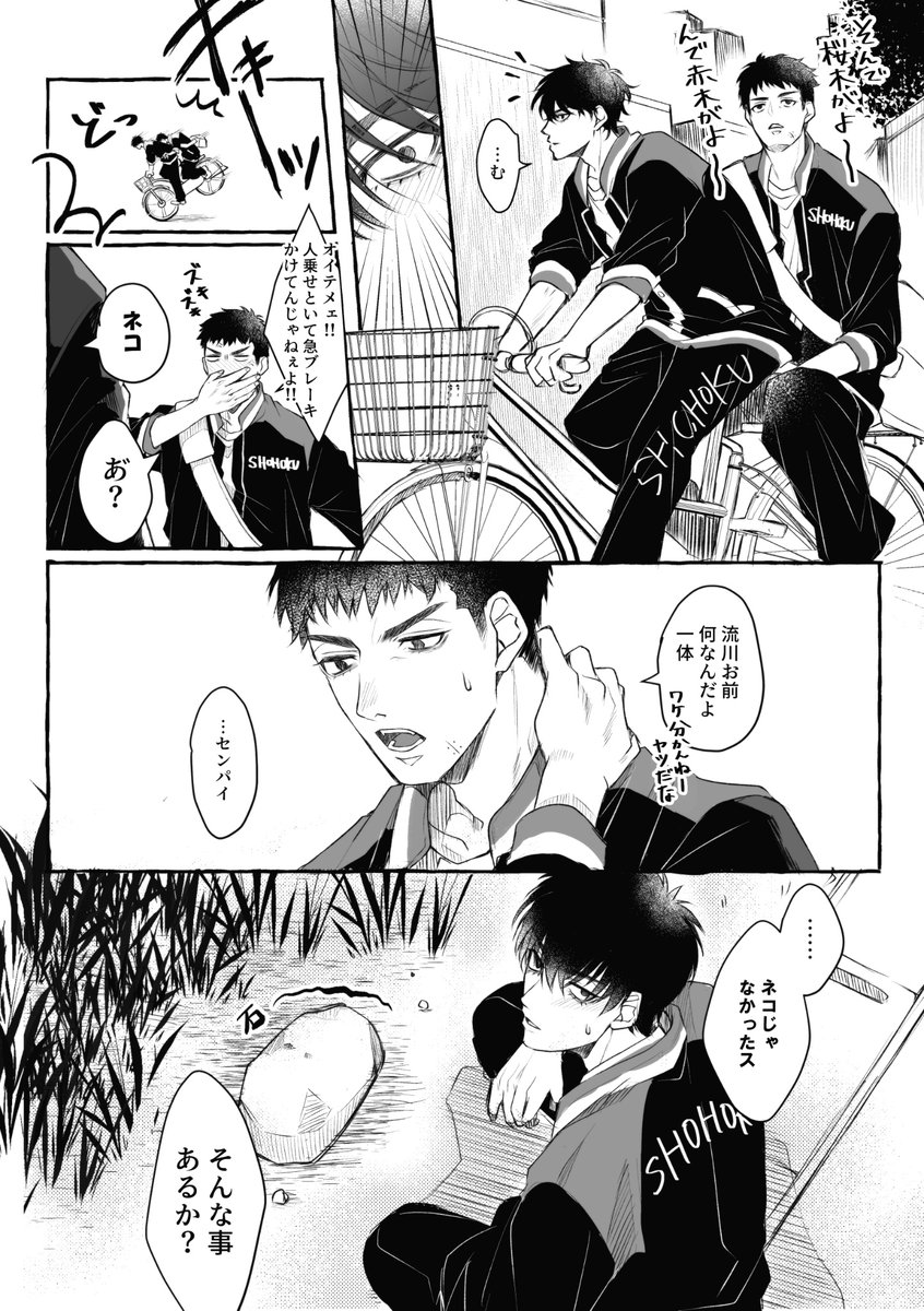 ネコチャンと流三