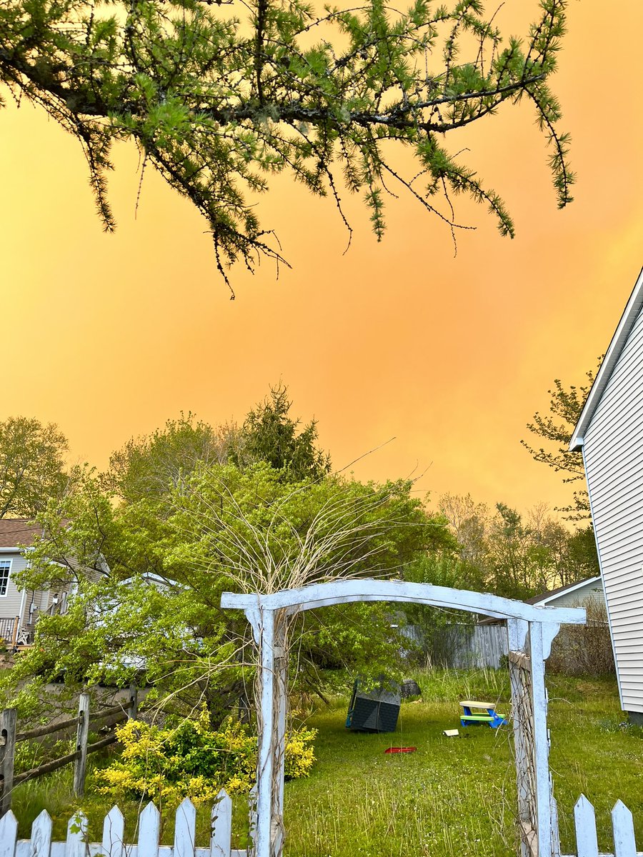 Brittenay Dana tweet media