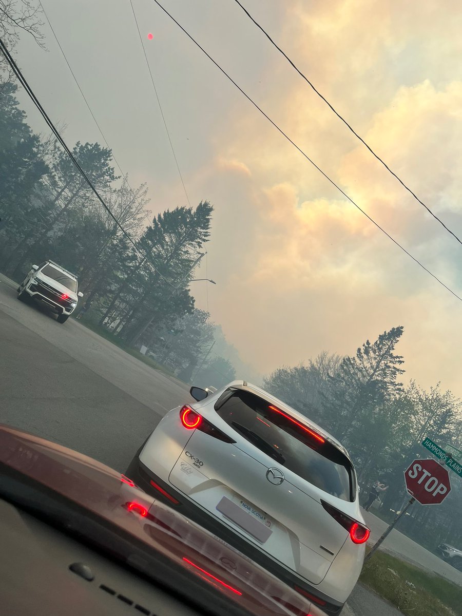 Brittenay Dana tweet media