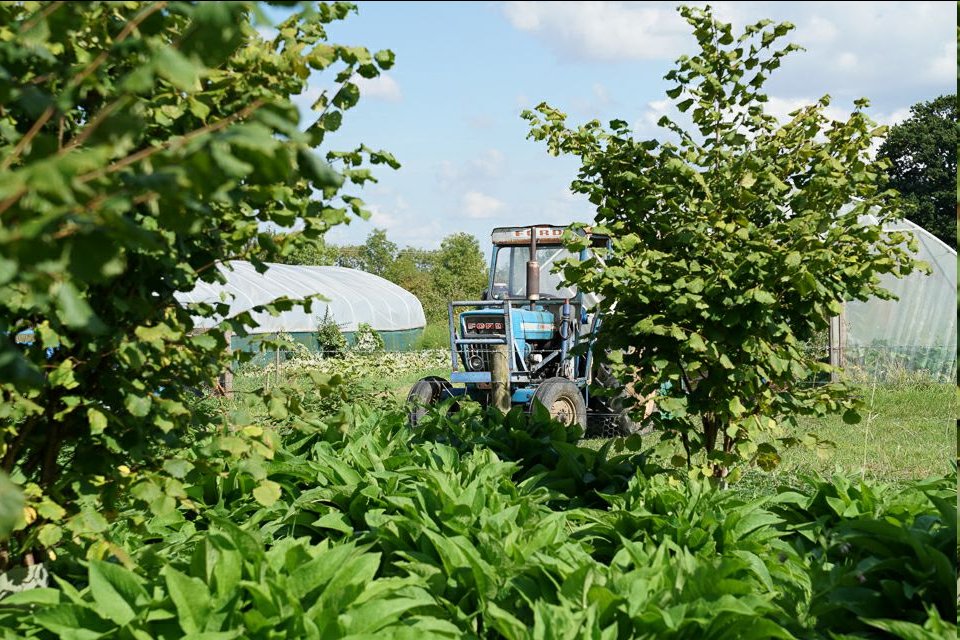 GreengrowCoop's tweet photo. Come and join us for the rest of the season! Grower position has come up with immediate start, producing for veg boxes, local foodbanks and @Hodmedods, working as part of a co-op and with @WWOOFUK volunteers. @OGAgrowers  Details at https://t.co/etjnEFOszz https://t.co/vUAaDO9dgs