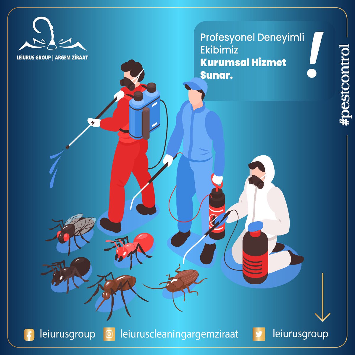 #Pestcontrolservice
#Leiurusgroupargemziraatpestcontrolhizmetleri
