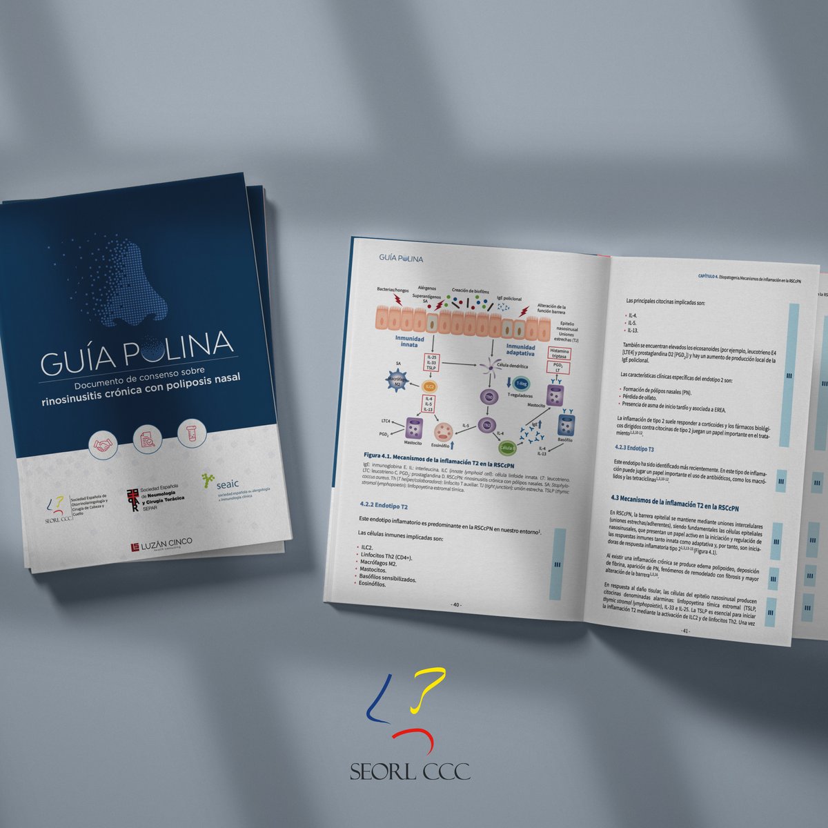 📑Recuerda que está disponible la #GuíaPolina2022 documento de consenso sobre el manejo multidisciplinar de la #poliposisnasal

Elaborada por <a href="/SEORLCCC/">SEORLCCC</a>, <a href="/SEAIC_Alergia/">SEAIC</a> <a href="/SeparRespira/">SeparRespira</a> y con la colaboración de <a href="/semfyc/">semFYC</a>, <a href="/SEFAC_aldia/">SEFAC</a> <a href="/sefh_/">S.E.F.H</a> <a href="/sefc_news/">Sociedad Española de Farmacología Clínica (SEFC)</a> y AEPONA

seorl-polina.com