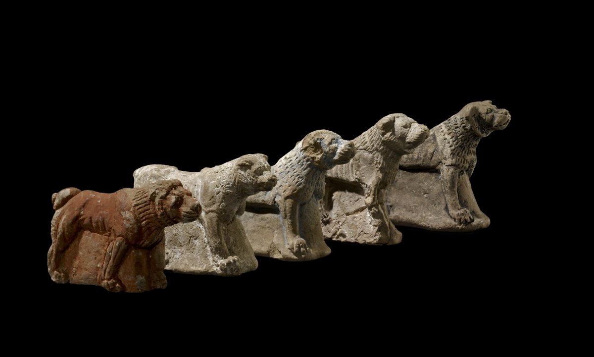 The ferocious five 🐕 These miniature clay mastiffs were buried to guard a property from devils and demons. This pack – once pigmented and decorated – was found beneath a palace doorway at Nineveh, northern Iraq ow.ly/expH50Os5kQ