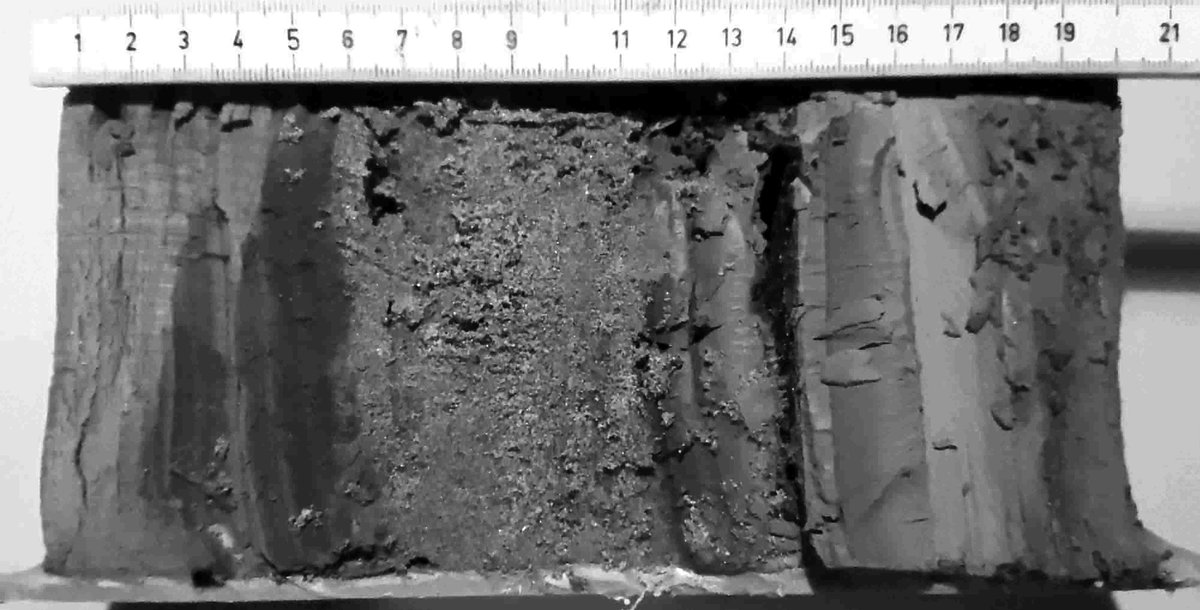 These glacilacustrine sediments from SE Norway have been dated to ca 56 ka and indicate that the Scandinavian ice sheet was almost completely gone by then. Read all about it here authors.elsevier.com/sd/article/S02… <a href="/UiB/">Universitetet i Bergen</a> <a href="/BjerknesBCCR/">Bjerknessenteret</a> <a href="/LundLum/">Lund Luminescence</a> @LundGeology <a href="/Lundsuni/">Lunds universitet</a>