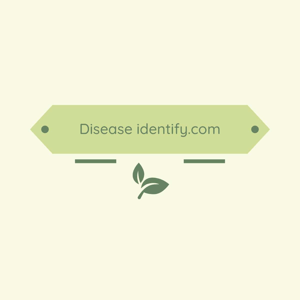 MunnaDomainer's tweet photo. https://t.co/f99qcX9Kh5
https://t.co/zPuAVWODer

domain for sale

#CeFi #CentralizedFinance #cryptocurrency #btc #blockchaintechnology #Digital #Exchange #CEX #disease #Identify #detect #Health #AI #ArtificialIntelligence #DomainsNames #BusinessBrand #DeFi #digitalAsset #buysell https://t.co/REC9vSFseK