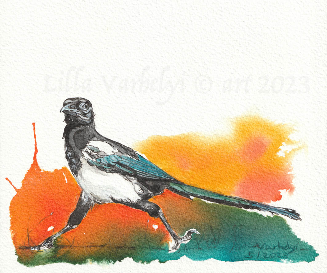 Neu!  #Rabenvogel 12 eine #Elster 😊
Euch einen schönen Feiertag! 
 #Inkpainting 18x15 For Sale
 #forsale #artforsale #tusche #kunstkaufen #magpie #wildlifeart #kleineKunstklasse #wildlifedrawing  #originaldrawing #Raben #birds #originalart #Raven #birdart #BirdsOfTwitter #vögel