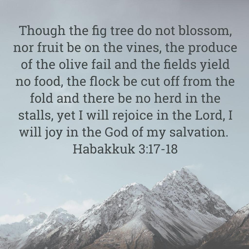 Though the fig tree do not blossom, nor fruit be on the vines, the produce of the olive fail & the fields yield no food, the flock be cut off from the fold & there be no herd in the stalls, yet I'll rejoice in the Lord, I'll joy in the God of my salvation.
Habakkuk3:17-18RSV