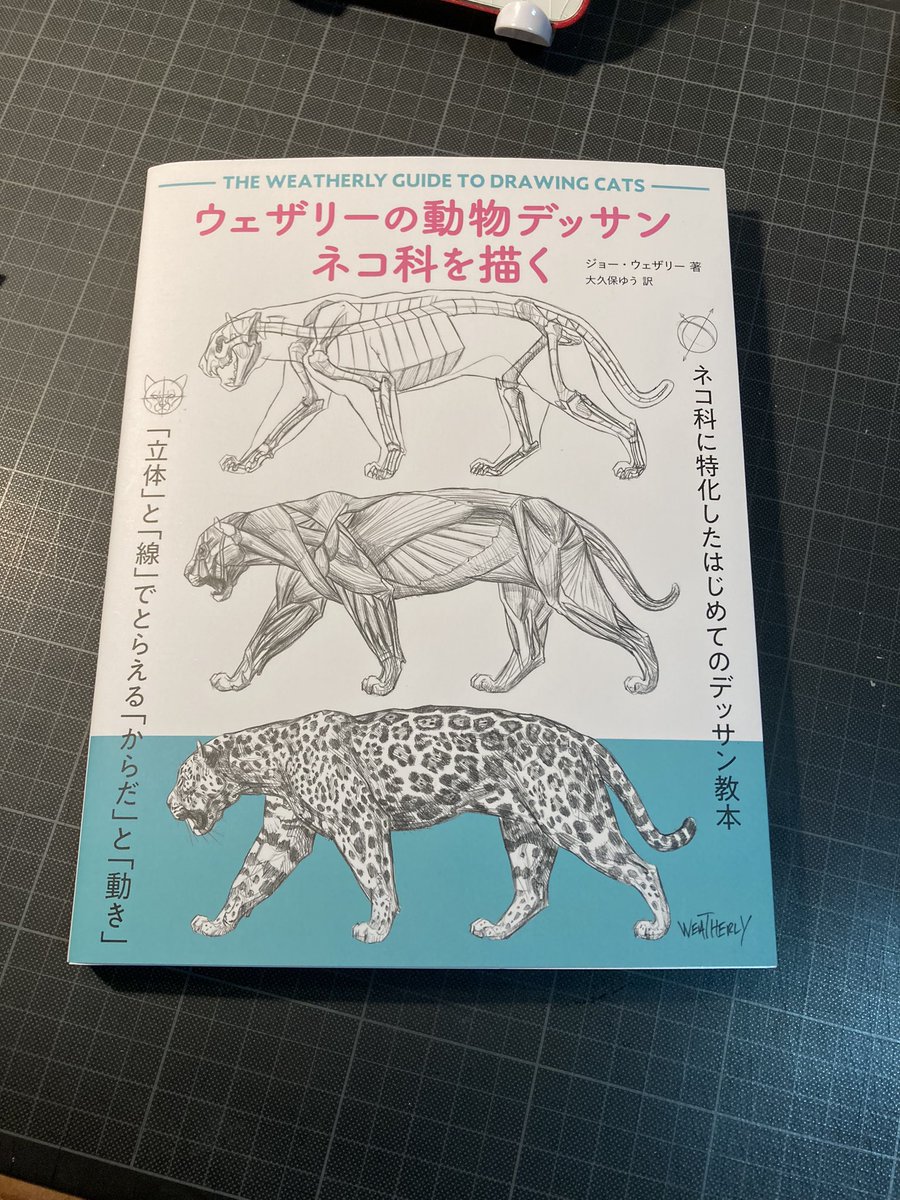 届きました。猫化に特化したデッサン教本『ウェザリーの動物デッサン ネコ科を描く(グラフィック社)』175ページみっちりネコ科だらけです。