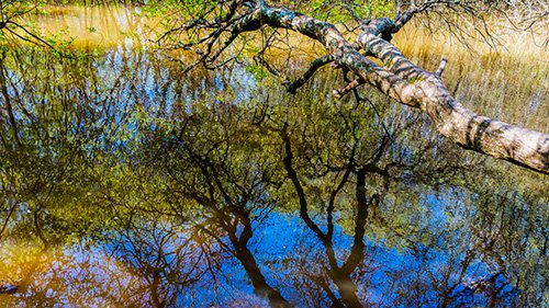 'Water Colour' #photography #photographyisart #ditchling