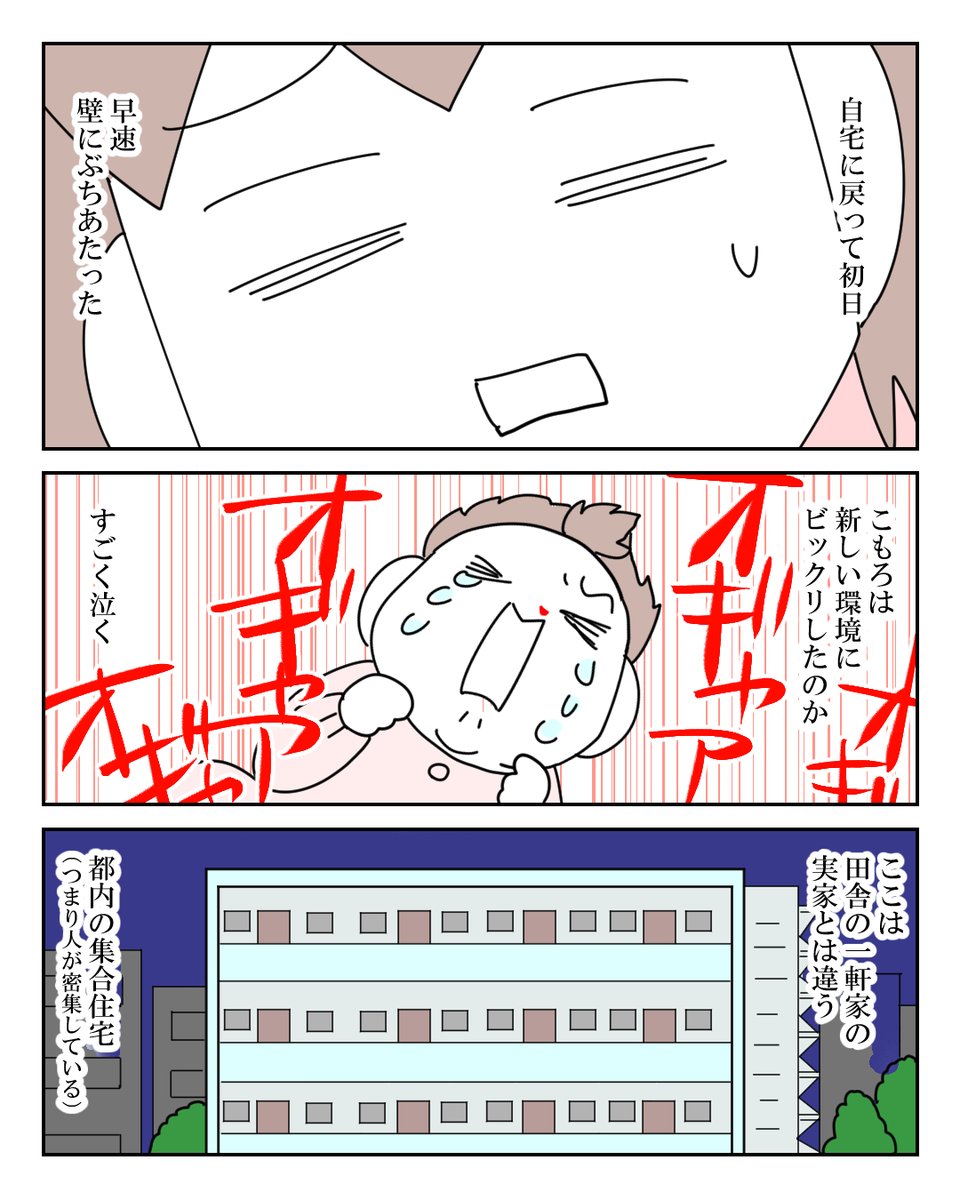 赤子が産まれたら、めっちゃ気を遣う①

 #漫画が読めるハッシュタグ #漫画がよめるハッシュタグ #育児漫画 #育児絵日記 #コミックエッセイ 