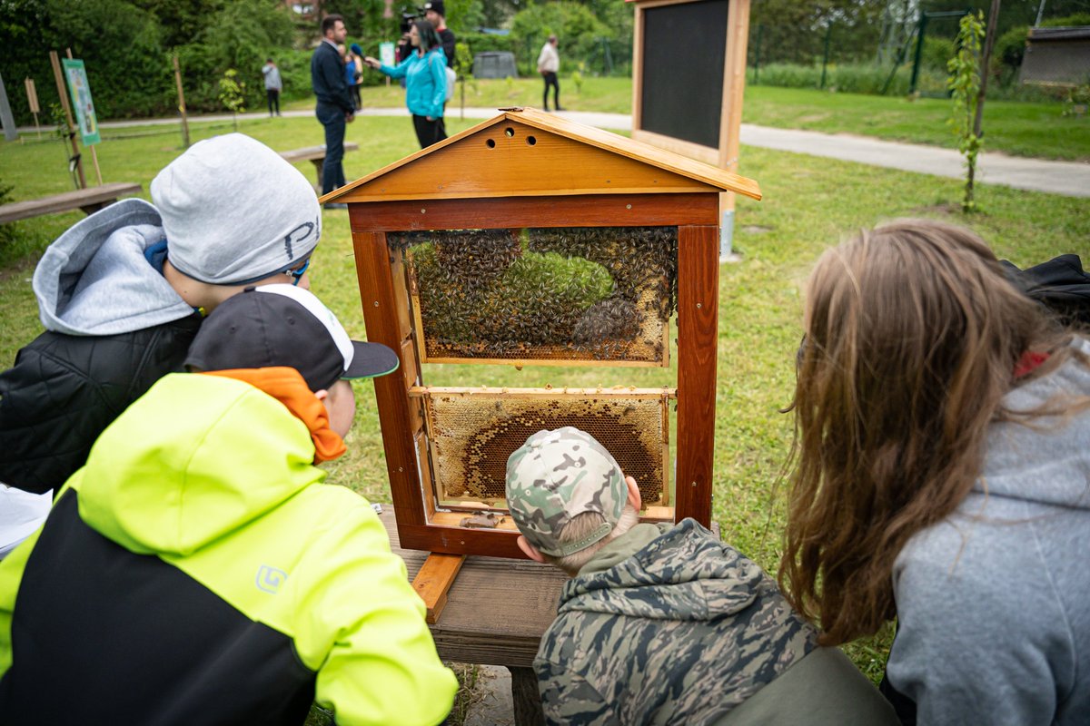Další jedlou zahradou, podpořenou z našeho grantu, se může pochlubit základní škola v Ludgeřovicích na Opavsku. Přejeme dětem, učitelům i školní jídelně, ať v zahradě všechno dobře roste a prospívá.