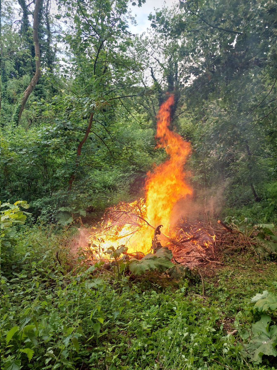 Nice to have a day in the woods yesterday clearing brush and looking for the hidden borehole