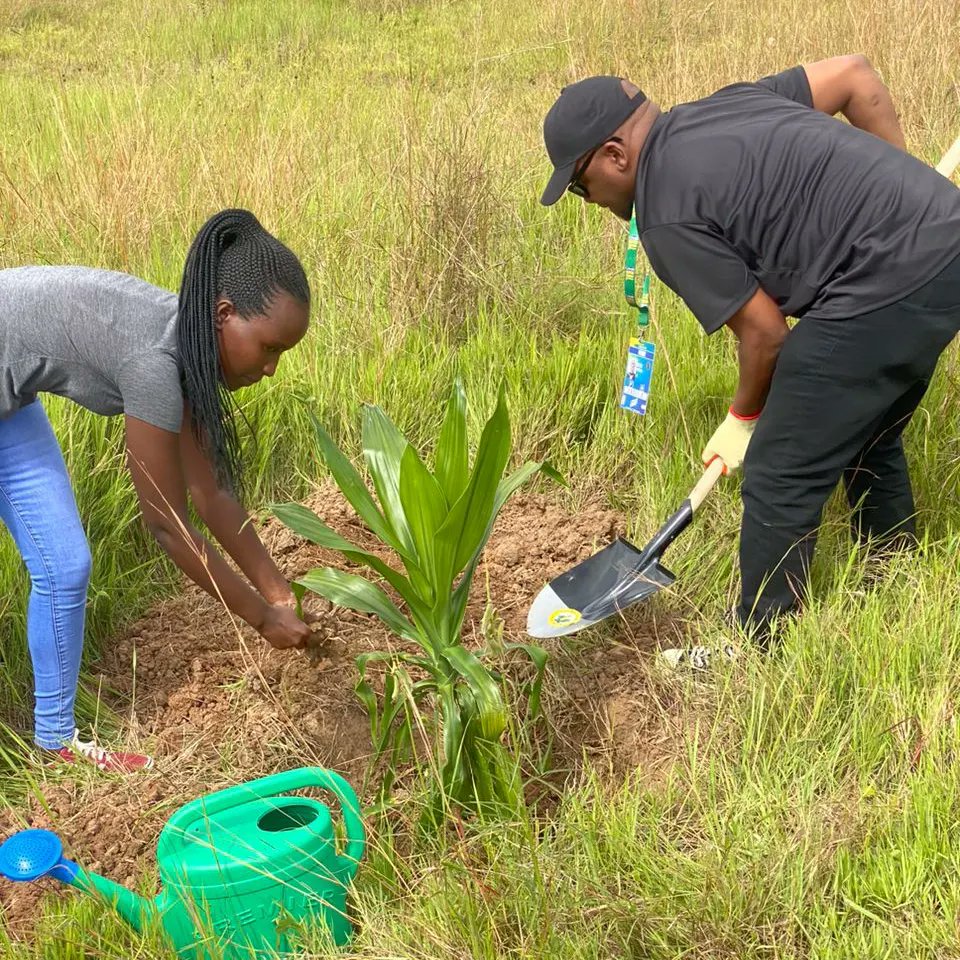 SRCAgency's tweet photo. Doing our part for environmental conservation.
Our team at SRC Rwanda participated in a tree planting exercise (Umuganda) at NYANDUNGU Eco Park, Kigali. The event was graced by H.E President Paul Kagame & Madame Jeanette Kagame.
#SRCRwanda #SRCAtWork #TheBAL https://t.co/o1kQlo083v