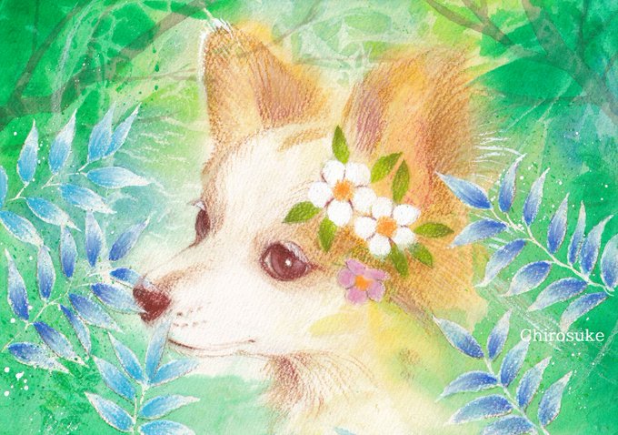「狐 髪飾り」のTwitter画像/イラスト(新着)｜2ページ目