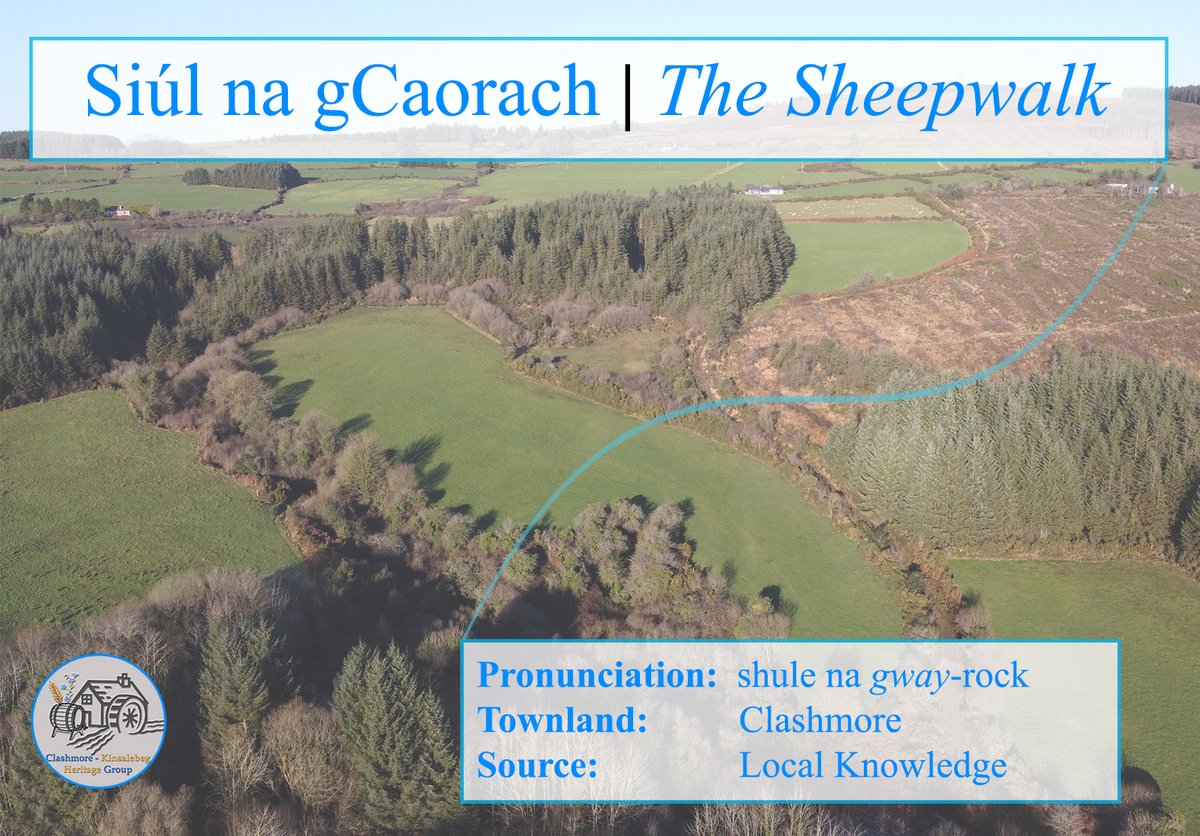 We continue our 'Feature Placename' series this week with a simple but graceful placename, 'Siúl na gCaorach'. Names relating to agriculture are naturally a common placename type in the local vernacular and feature heavily in our Townland Survey research so far. #logainmneacha