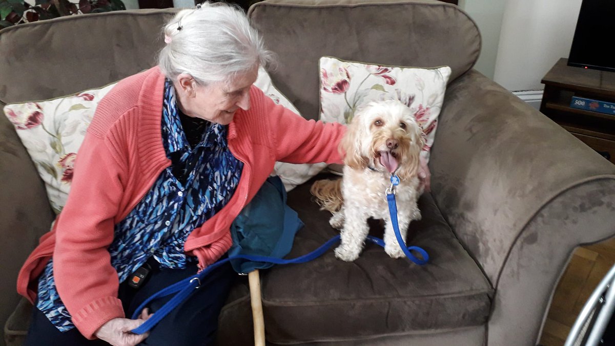Linda and Charlie had a wonderful time at Westerfield House Residential Home and Charlie was the perfect cuddle dog!

#canineconcern #therapydogs #workingdogs #caredogs #ukcharity