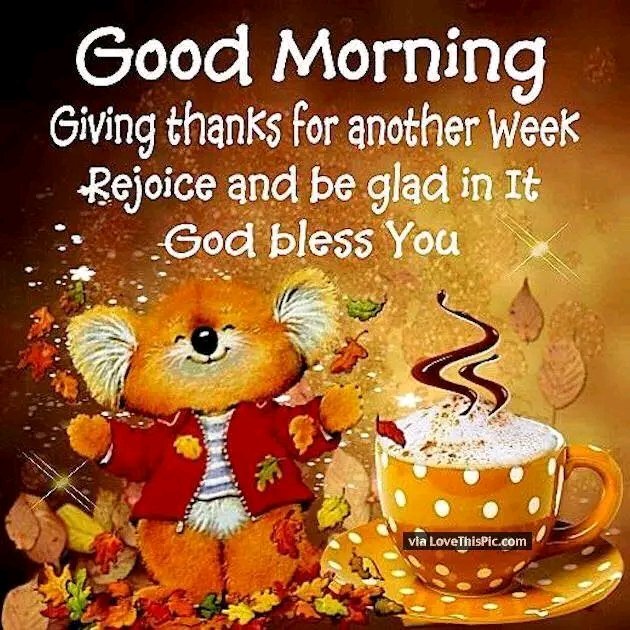 Rose Ameli (@roseameli1) on Twitter photo <a href="/adewolaadekunl1/">Adewola</a> <a href="/johns20014/">John</a> <a href="/nancy757366841/">nancyrobinson</a> <a href="/LeslieN84904651/">Leslie Nguyen</a> <a href="/jamielcantu/">Jamie L. Cantu๐บ๐ธ๐ฎ๐ฑ</a> <a href="/great0727/">Kim,Jong-ill</a> <a href="/elliesangelwing/">Doreen</a> <a href="/n6mdc/">Matthew Cruse</a> <a href="/Pgh_Buz/">โ๏ธ Pittsburgh-Buz๐บ๐ธ</a> <a href="/Stewart7Donna/">sparrow17</a> <a href="/810100jn/">Jannie</a> <a href="/Ccangelsing/">CC Angels Sing</a> <a href="/savebygrace71/">savedbygrace7</a> <a href="/PONCHOAGOPLA/">Poncho Gรณmez-Plaza</a> <a href="/emmanuelobi476/">lion of Judah</a> @walterp73438633 <a href="/pcgango55/">Divine love</a> <a href="/Michael94388664/">Michael Clark</a> <a href="/DavidPr70117773/">David Presley</a> <a href="/RosePagaduan2/">RoseP@ChildOfGod</a> <a href="/PastorOsiyaRoy/">Osiya Roy Pastor</a> <a href="/EllahieCooking/">Karam Ellahie</a> <a href="/Iris37853751/">Iris</a> <a href="/Aidan52420511/">Aidan The Human Bean</a> <a href="/Andre19643663/">Andre</a> <a href="/GraceSamuel888/">Grace Samuel</a> <a href="/intrinsictweets/">C. C. Hurdle</a> <a href="/MimiLovesJesus5/">๐โฃ๏ธCamille๐๐๏ธ</a> <a href="/MildredOQuin1/">Mildred O'Quin</a> <a href="/elviraamberg/">Elvira Amberg</a> <a href="/DavidTSummers3/">David T</a> <a href="/Angelmom337/">Angelmom337</a> <a href="/Standwa8/">Milk and Honey</a> <a href="/jea_jordan/">jordan anderson</a> <a href="/albert70x7/">Albert Wang</a> <a href="/DonataLueck/">DkL4Jesus</a> <a href="/BeachcatTt/">Michelle</a> <a href="/beyaself1/">beyaself</a> <a href="/TeruyoToikka/">Teruyo Uematsu-Toikka</a> <a href="/KnightlyMike/">Mike Knightly</a> <a href="/ed_lamon/">Ed Lamon</a> <a href="/Carole77777/">Carole</a> <a href="/SkiltonRay/">Ray Skilton</a> <a href="/todaypraise8/">mickey ray</a> <a href="/IIIDeaton/">Eternity Planner</a> <a href="/elosisofficial/">Dyde Elosis โ๏ธ๐</a> <a href="/DawnLynnMann1/">Dawn Lynn Mann</a> <a href="/JaksMimi2/">Emily โ๏ธ๐ก๏ธ๐๐ฝ Wait. What?</a> <a href="/ChristIsComing4/">AwaitingGlory</a> <a href="/lyfetreker/">Lyfetreker</a> Amen ๐, praise the name of the Lord, blessed be his holy and powerful name, <a href="/adewolaadekunl1/">Adewola</a> <a href="/johns20014/">John</a> <a href="/nancy757366841/">nancyrobinson</a> <a href="/LeslieN84904651/">Leslie Nguyen</a> <a href="/jamielcantu/">Jamie L. Cantu๐บ๐ธ๐ฎ๐ฑ</a> <a href="/great0727/">Kim,Jong-ill</a> <a href="/elliesangelwing/">Doreen</a> <a href="/n6mdc/">Matthew Cruse</a> <a href="/Pgh_Buz/">โ๏ธ Pittsburgh-Buz๐บ๐ธ</a> <a href="/Stewart7Donna/">sparrow17</a> <a href="/810100jn/">Jannie</a> <a href="/Ccangelsing/">CC Angels Sing</a> <a href="/savebygrace71/">savedbygrace7</a> <a href="/PONCHOAGOPLA/">Poncho Gรณmez-Plaza</a> <a href="/emmanuelobi476/">lion of Judah</a> @walterp73438633 <a href="/pcgango55/">Divine love</a> <a href="/Michael94388664/">Michael Clark</a> <a href="/DavidPr70117773/">David Presley</a> <a href="/RosePagaduan2/">RoseP@ChildOfGod</a> <a href="/PastorOsiyaRoy/">Osiya Roy Pastor</a> <a href="/EllahieCooking/">Karam Ellahie</a> <a href="/Iris37853751/">Iris</a> <a href="/Aidan52420511/">Aidan The Human Bean</a> <a href="/Andre19643663/">Andre</a> <a href="/GraceSamuel888/">Grace Samuel</a> <a href="/intrinsictweets/">C. C. Hurdle</a> <a href="/MimiLovesJesus5/">๐โฃ๏ธCamille๐๐๏ธ</a> <a href="/MildredOQuin1/">Mildred O'Quin</a> <a href="/elviraamberg/">Elvira Amberg</a> <a href="/DavidTSummers3/">David T</a> <a href="/Angelmom337/">Angelmom337</a> <a href="/Standwa8/">Milk and Honey</a> <a href="/jea_jordan/">jordan anderson</a> <a href="/albert70x7/">Albert Wang</a> <a href="/DonataLueck/">DkL4Jesus</a> <a href="/BeachcatTt/">Michelle</a> <a href="/beyaself1/">beyaself</a> <a href="/TeruyoToikka/">Teruyo Uematsu-Toikka</a> <a href="/KnightlyMike/">Mike Knightly</a> <a href="/ed_lamon/">Ed Lamon</a> <a href="/Carole77777/">Carole</a> <a href="/SkiltonRay/">Ray Skilton</a> <a href="/todaypraise8/">mickey ray</a> <a href="/IIIDeaton/">Eternity Planner</a> <a href="/elosisofficial/">Dyde Elosis โ๏ธ๐</a> <a href="/DawnLynnMann1/">Dawn Lynn Mann</a> <a href="/JaksMimi2/">Emily โ๏ธ๐ก๏ธ๐๐ฝ Wait. What?</a> <a href="/ChristIsComing4/">AwaitingGlory</a> <a href="/lyfetreker/">Lyfetreker</a> Amen ๐, praise the name of the Lord, blessed be his holy and powerful name,