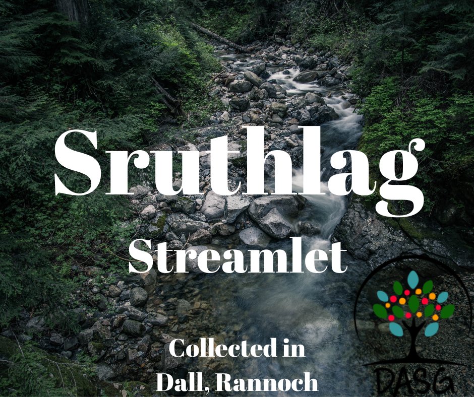 lght.ly/41614io
💧
SRUTHLAG - STREAMLET
🌊
#Sruthlag #Sruth #Allt #Stream #Streamlet #River
💦
#LochTummel #Rannoch #Raineach #RannochMoor #KinlochRannoch
#SiorrachdPheairt #Peairt
-
#Alba #Scotland
#Gàidhlig #Gaelic #ScottishGaelic
#DigitalArchiveofScottishGaelic #DASG