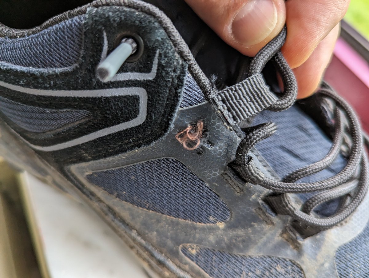 Bart Provoost tweet media