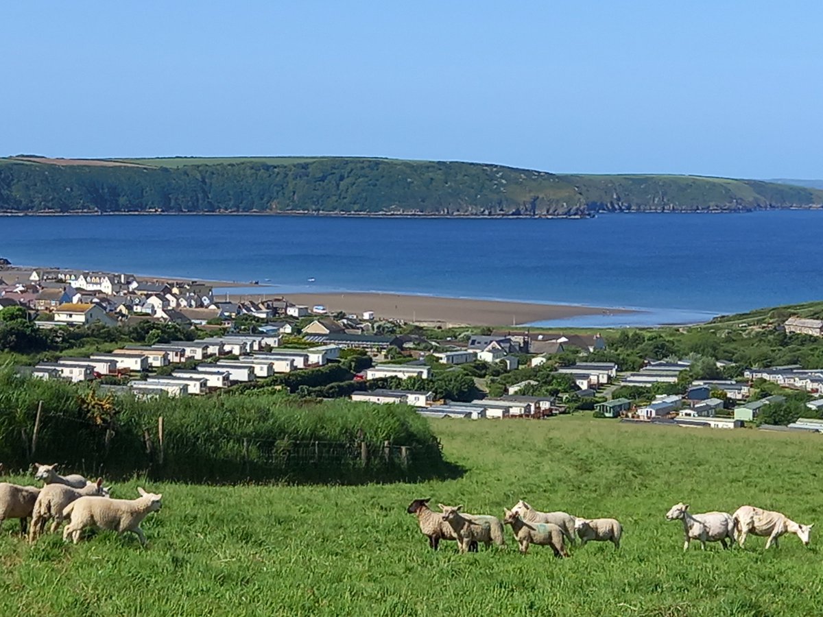 LynwenWilliams3's tweet photo. Shearing with a view @mary https://t.co/e0k3Dcvzac