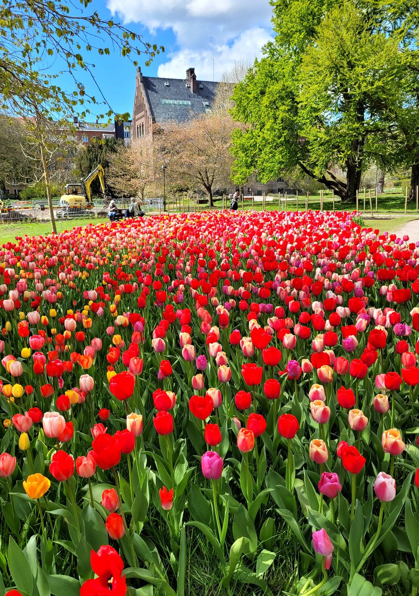 BUNU ANLAMIZ LAZIM ARRTIK. BIZ BIZIZ
SIZ SISINIZ AMA IYI KOMŞU OLABILIRIZ.