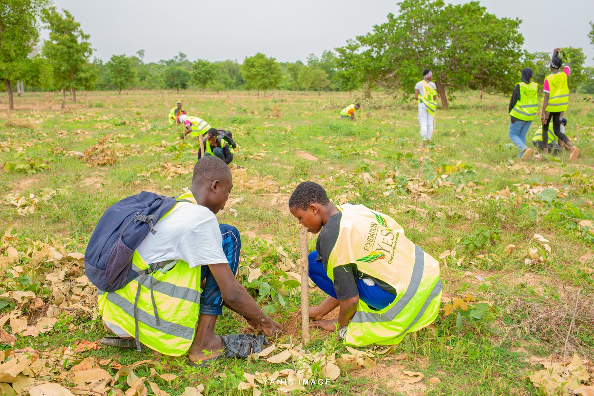 FranckDodo's tweet photo. Bonjour #FERKÉ 
La Fondation Yes s'était installée dans la ville ce samedi 25 Mai 2023 pour reboiser 25hectares de forêt endommagée.
Villes reboisées.
#Jacqueville
#Fresco
#SanPedro
#Yakro
#Daloa
#Duekoue
#ZouanHounien
#Boundiali
 #Ferké2023
 à #KATIOLA2023  Le 30 Mai 2023 https://t.co/vA7cpkIqhL