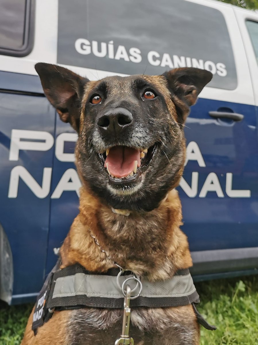 Policía Nacional tweet media