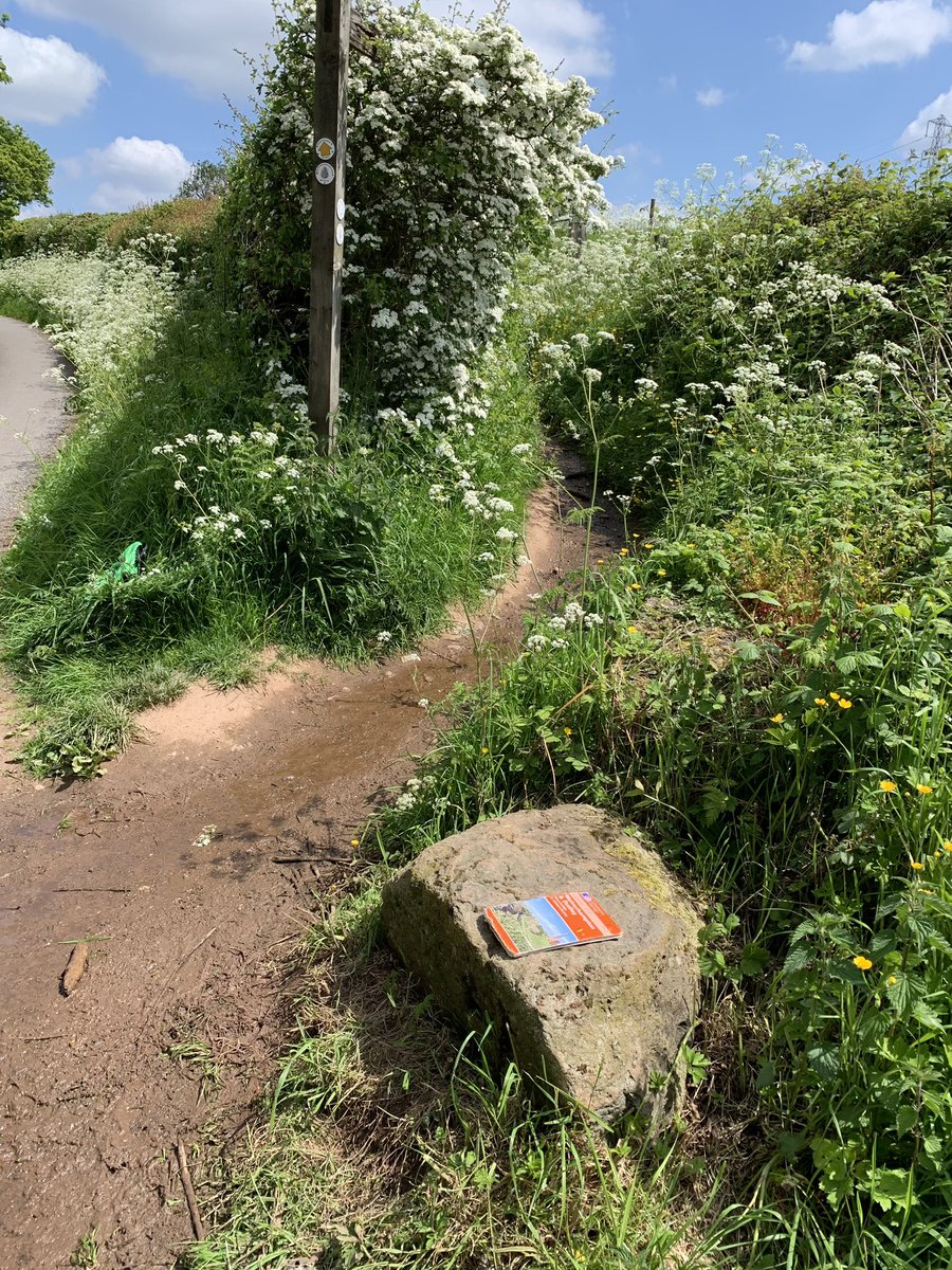 wanderlost_the's tweet photo. It’s been a lovely week to be out and about hunting for ice age erratics from North Wales this week, such as this one located next to the North Worcestershire Path at Waseley Hills Country Park.
@erraticsproject @worcscc https://t.co/W1ti0PDrRw