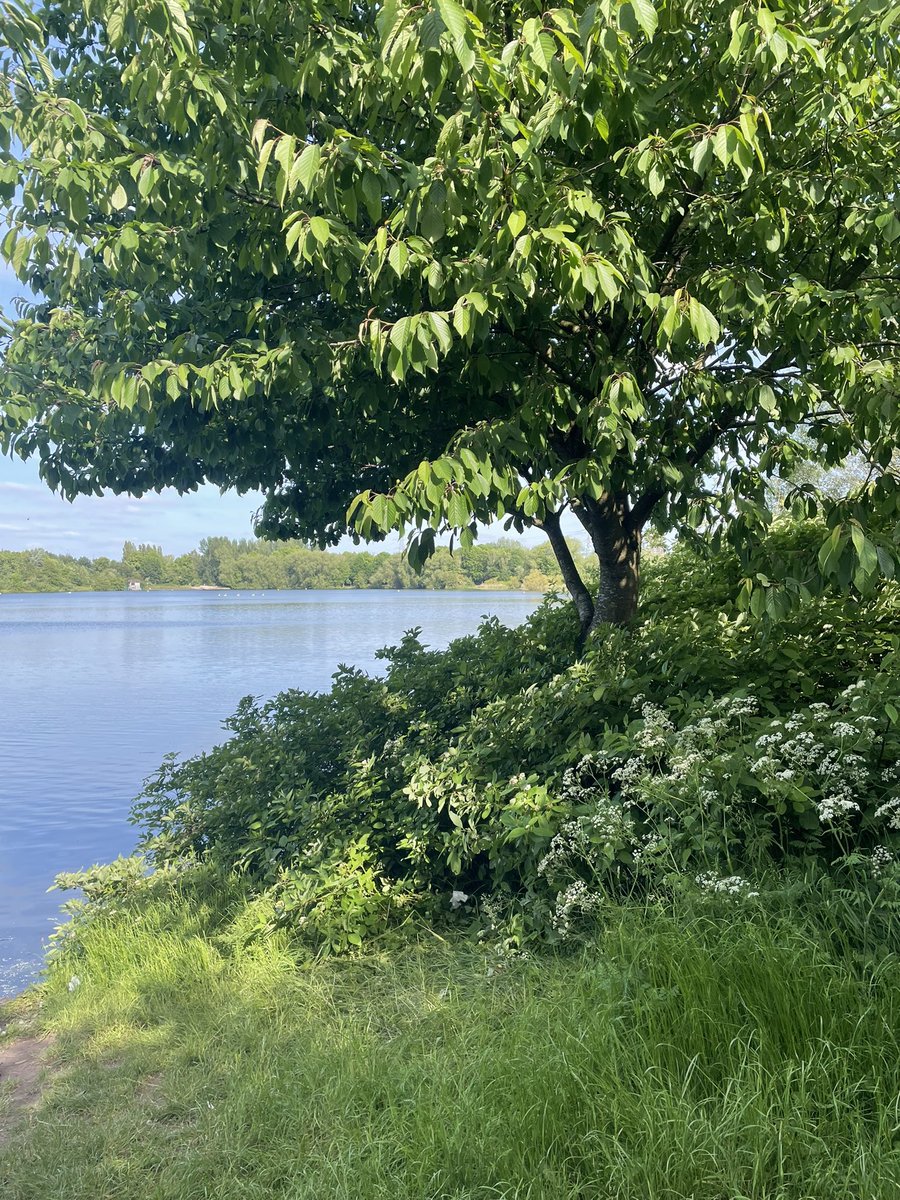 Getting in my last walk of #WalkingMonth this bank holiday #mentalhealth #WalkThisMay Perfect for reflecting on a busy month &amp; recharging ahead of back to work tomorrow