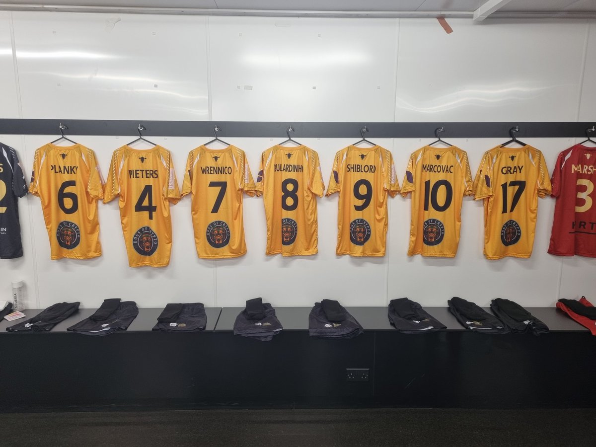 DOC_erc20's tweet image. LFG!

#DOC #weareDOC #DOCarmy

@TheShibLord1