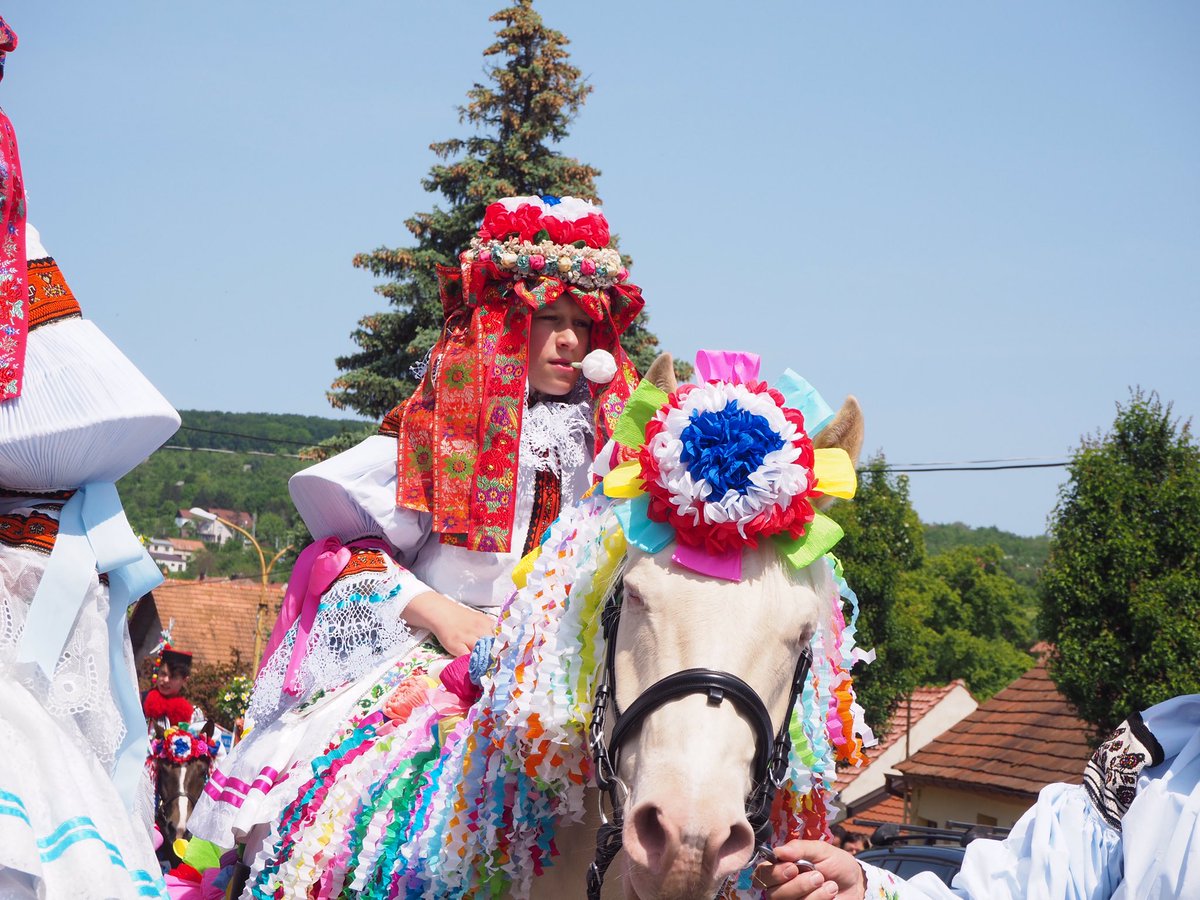 Eriy06's tweet image. 王様騎行の主役はこの子！今年の王様です。10歳くらいの男の子なのですが、女の子の格好をして、口には白い薔薇の花をくわえています。逃亡中に敵を欺くため、女装をしているという説も。バラはおしゃべりできないようにだって。とにかくかわいいから見てください…かわいい…

#チェコへ行こう