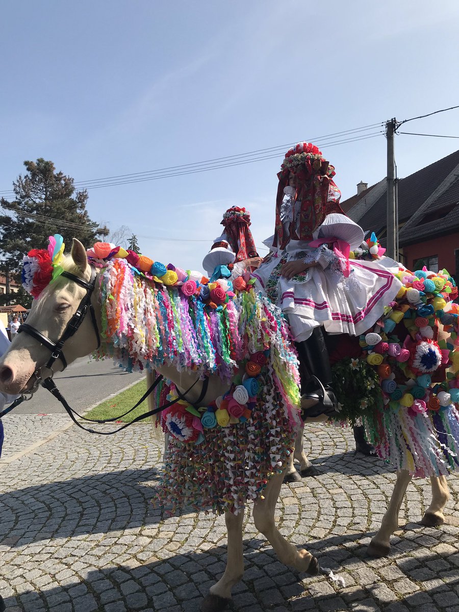 Eriy06's tweet image. 王様騎行の主役はこの子！今年の王様です。10歳くらいの男の子なのですが、女の子の格好をして、口には白い薔薇の花をくわえています。逃亡中に敵を欺くため、女装をしているという説も。バラはおしゃべりできないようにだって。とにかくかわいいから見てください…かわいい…

#チェコへ行こう