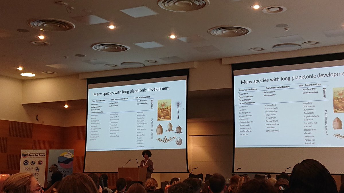 Excited to be at the 1st day of the #ISDSC8 in Edinburgh representing <a href="/JNCC_UK/">JNCC</a>. Let's talk all things #DeepseaCorals. @ISDSC8