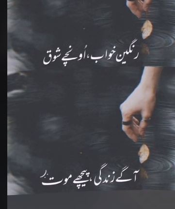 تیز ترین فالو بیک💯 #R_P_G
@5syra
<a href="/1Hqim/">Crypto 100x Gems</a>
@Pk50k
<a href="/1fzall/">فـضـ𝓐𝓴𝓫𝓪𝓻ل</a>
@9SI_H
<a href="/5skj_/">ثناءاللہ جدون</a>
@Mun_6_4
<a href="/Subhhn/">Subhan Khan</a>
<a href="/1fzall/">فـضـ𝓐𝓴𝓫𝓪𝓻ل</a>
@1H50k
<a href="/1Aara_/">○° آراءخان°○</a>
<a href="/1Mliik/">ملک حیدری اعوان</a>
<a href="/SAGBain/">SHujjaat ALy GBain✌️</a>
<a href="/AbuSaiFii/">Abu Sufyan</a>
<a href="/KarimPk/">A Karim</a>
<a href="/bil_al95/">ابو ہاشر𓃵</a>
<a href="/AR6t6/">☆ABDUL RAHMAN☆</a>
<a href="/Ik7700/">I Khan</a>
@mugh007
<a href="/TSC143_/">آفیسرز</a>
<a href="/MQ_g22/">@MQasim2056</a>
<a href="/2bnt8/">منیبہ نعیم 🇵🇰</a>
<a href="/Niaz1k/">Rajab Baloch</a>
<a href="/QMAAsif/">Qazi Asif</a>
<a href="/1A_76/">Qureshi</a>
<a href="/azra_pti/">Azra Aziz</a>
<a href="/Trq35/">𝐓ᴀʀɪǫ 𝐆ʜᴜʟᴀᴍ 𝐌ᴜʜᴀᴍᴍᴀᴅ</a>
<a href="/Salu193/">SyEd Salahudin🇵🇰</a>
@1H50k
<a href="/bnte_/">بـٌـٌٌـٌٌٌـٌٌـٌنـِِـِـتـٌـٌٌـ۔</a>
<a href="/_javed1/">Javed Mengal</a>