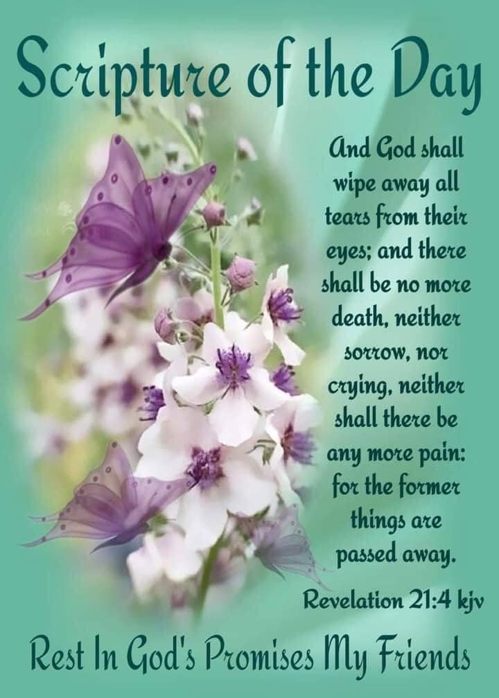 ❤️Scripture Of The Day ❤️ And God shall wipe away all tears from their eyes; and there shall be no more death, neither sorrow, nor crying, neither shall there be any more pain: for the former things are passed away.🕊️ Revelation 21:4🕊️ ❤️ Rest In God's Promises My Friends. ❤️