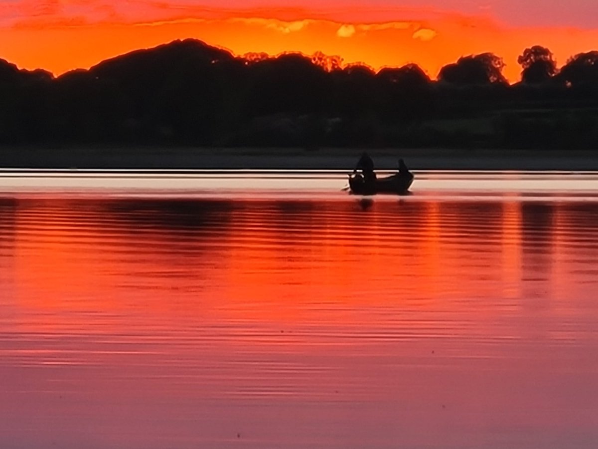 Reframe Landscape tweet media