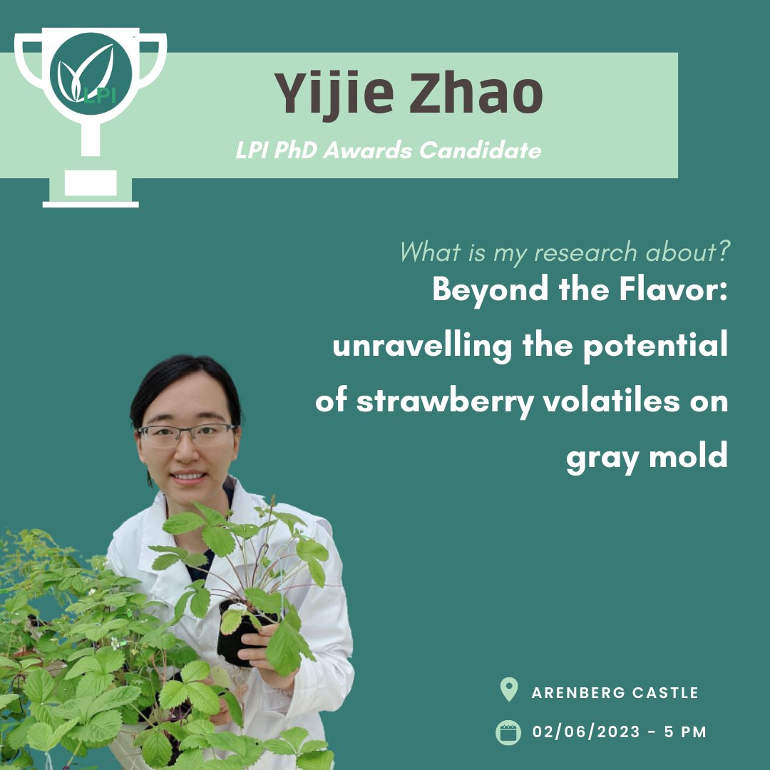 KU Leuven Plant Institute (@leuvenplantinst) on Twitter photo 🏆#MeetTheCandidate: Meet #PhDAwards candidate <a href="/YijieZhao8/">Yijie Zhao 🐰</a>!
Her research uncovers the secret to combating fungal #pathogens! Volatiles in #strawberries show promise in fighting #Botrytiscinerea, offering a potential biological control solution. 🍓🔬
👉forms.gle/nTJHwdEtD11oEw… 🏆#MeetTheCandidate: Meet #PhDAwards candidate <a href="/YijieZhao8/">Yijie Zhao 🐰</a>!
Her research uncovers the secret to combating fungal #pathogens! Volatiles in #strawberries show promise in fighting #Botrytiscinerea, offering a potential biological control solution. 🍓🔬
👉forms.gle/nTJHwdEtD11oEw…