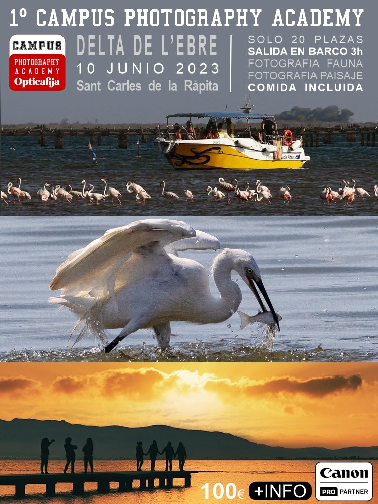 Aves, paisajessalida en barco "fotográfico", almuerzo y comida del Delta....

Todo un día de lujo en la naturaleza para ti y tu cámara de la mano de <a href="/OpticaFija/">OpticaFija</a> y <a href="/CanonEspana/">Canon España</a> <a href="/CanonEMEApro/">Canon EMEA Pro</a> 

PLAZAS LIMITADAS
Toda la info en:
opticafija.com/blog/news/1-ca…