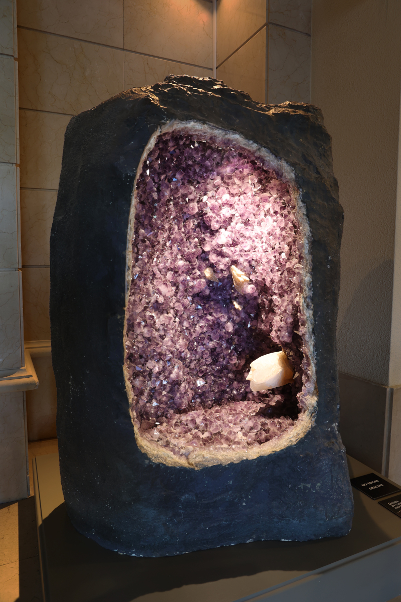 #MineralMonday One of the most important ways museums acquire pieces is through donations, such as this #amethyst #quartz geode from Ametista do Sul, a volcanic area in southern Brazil, where the world's largest production of amethysts occurs. #Geology #Geodes #Museums #Donations