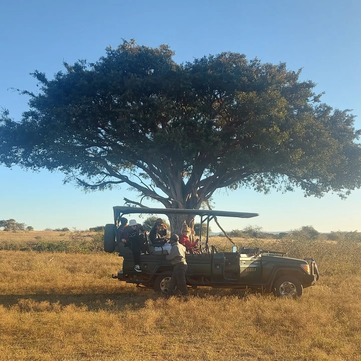 TourvestDM tweet media