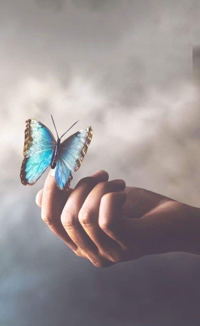 "Until you come to terms with your true self, you will never be satisfied with what you have."

 ~ Doris Mortman