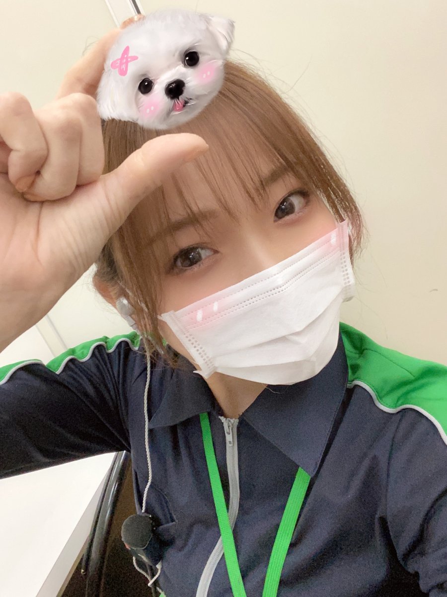 MAXseto's tweet photo. このあと18：00～新台解放です👍
わたしはにゃんこ🐈よりわんちゃん🐕派です❤️
おまちしてます！！

#にゃんこ大戦争BIGBANG 
#ベルセルク https://t.co/YvJNMTgGqH