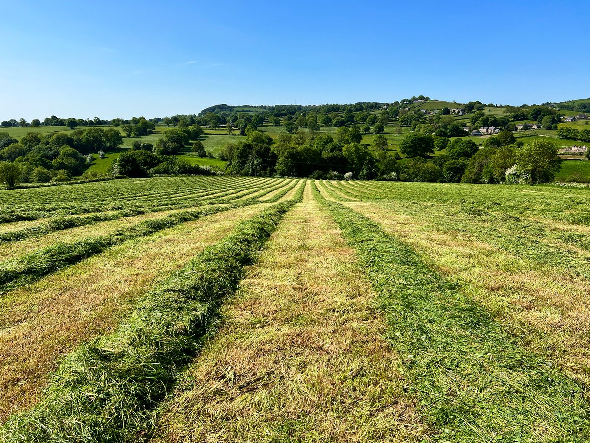 _JoelAshton's tweet image. Why are we losing so many of our ground nesting birds? These are the scenes currently all over #Derbyshire &amp;amp; many counties - beautiful #wildflowermeadows mown down for silage (cattle feed). 

Curlew, Skylark, Meadow Pipit, Oystercatcher &amp;amp; Lapwing are ground nesting birds. Right…