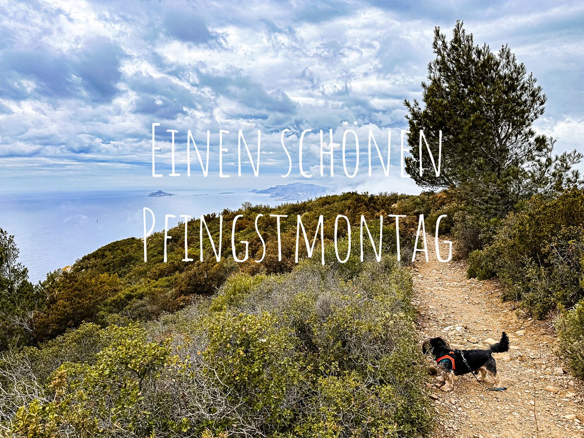 Einen schönen Pfingstmontag ❤️ #Pfingstwochenende #Pfingsten #grüße #greetings #southfrance #südfrankreich #CotedAzurFrance #hikingadventures
