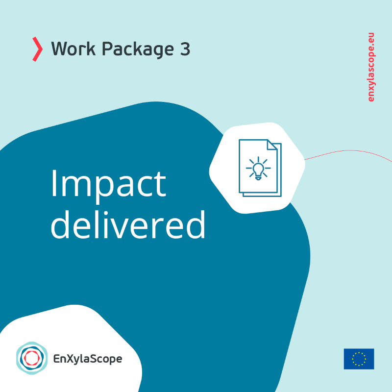 enxylascope's tweet image. 👀 Do you want to know the impact of our #WorkPackage 3️⃣, called «Establishing efficient production system and production optimisation for the target #enzymes»?
Discover right here the #WP3 impact over the last 18 months 👇 
@CORDIS_EU