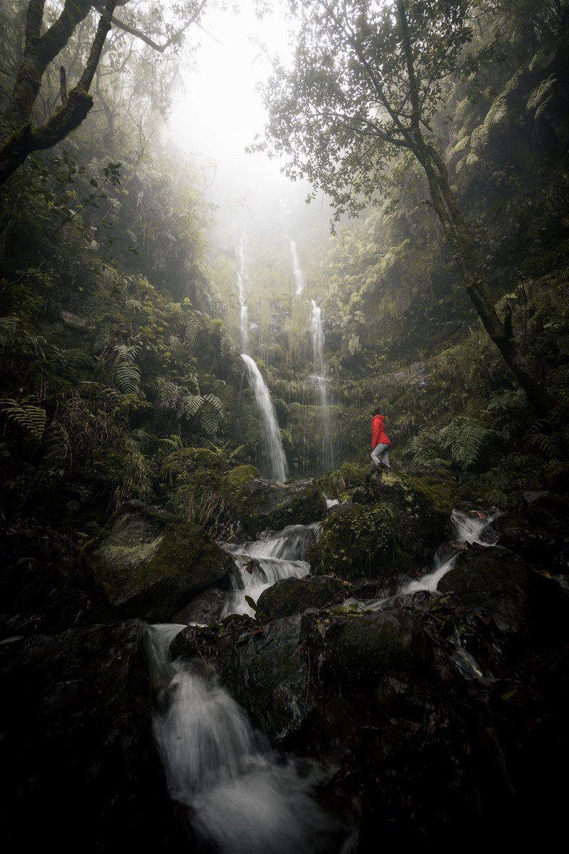 Gm to everyone who loves and collects photography 📸