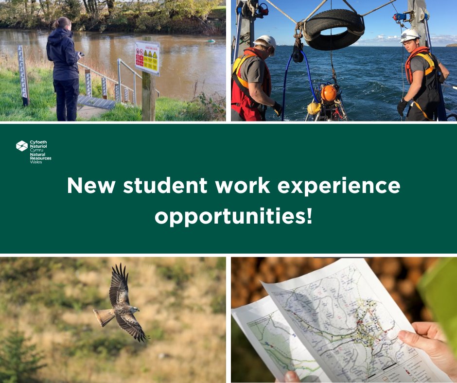 📣 Calling all students! Are you interested in pursuing a career helping to look after and manage our fantastic environment and wildlife in Wales? We currently have 12 exciting student work experience opportunities available 👇 orlo.uk/HzD0U