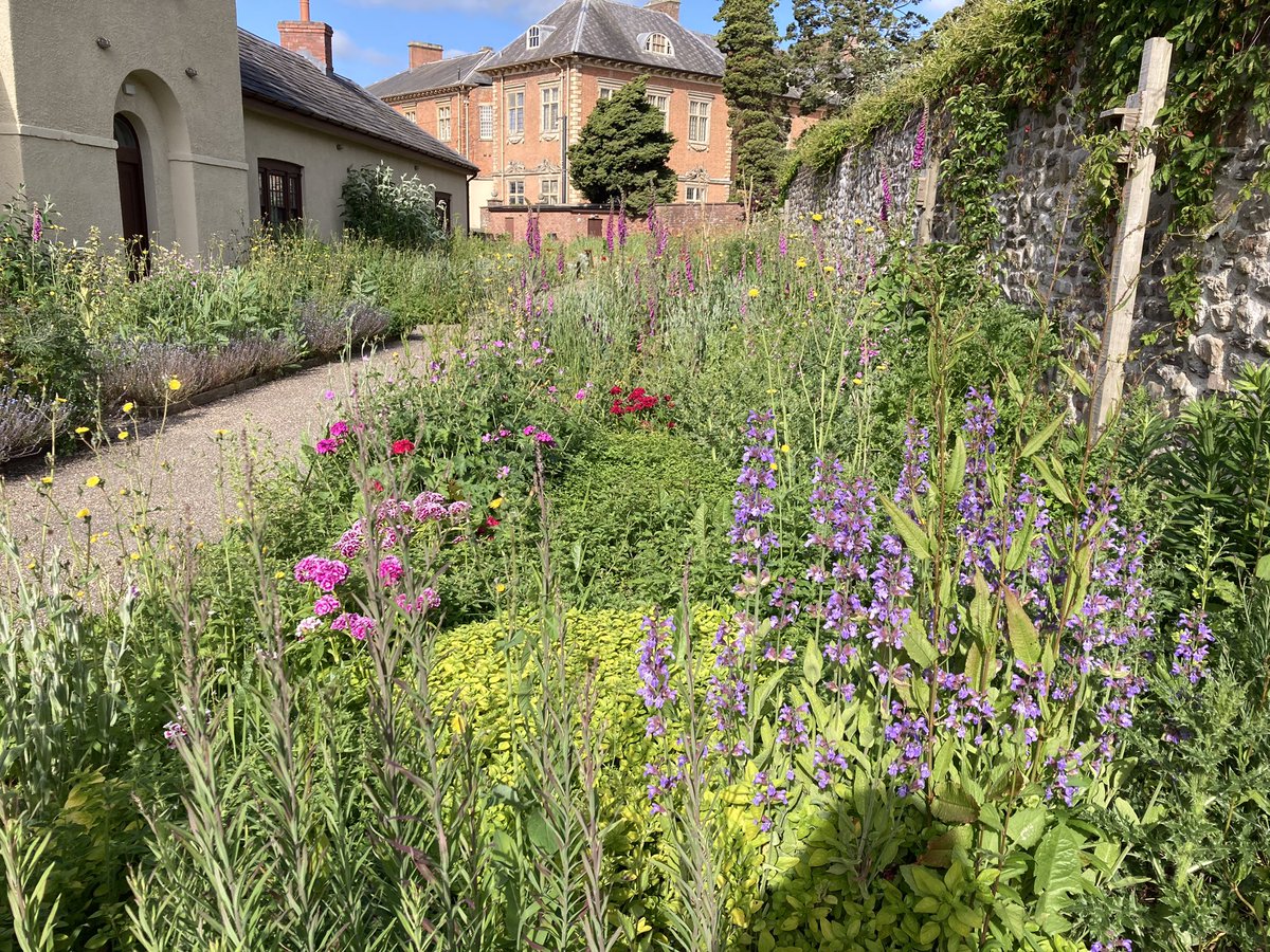 LaundryGarden gardened by volunteers/clients @GSouthwales @NTTredegarHouse looking wild & fabulous. We’ve started Species Boards to highlight biodiversity in garden..those we have been able to ID!
Feel free to drop in & help add to our lists ?
@BuglifeCymru @BuzzingWales @SEWBReC