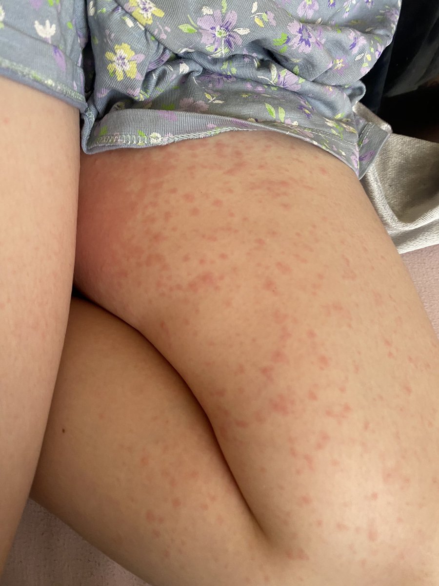 Polly Guy / Pantries tweet media