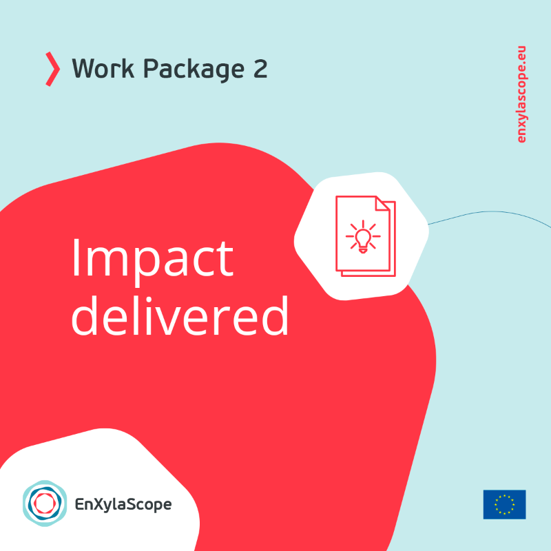 enxylascope's tweet photo. 🧪 «Discovery of xylan debranching #enzymes» is our #WorkPackage 2️⃣.
Find out here the impact delivered by this #WP developed throughout the last 18 months. 👇
Know more about #EnXylaScope:
https://t.co/4QWmyidu9y
@CORDIS_EU
